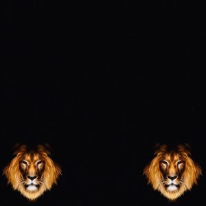 Meet your Posher, Travis